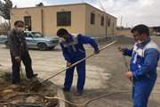 کاشت نهال در شبکه دامپزشکی درمیان